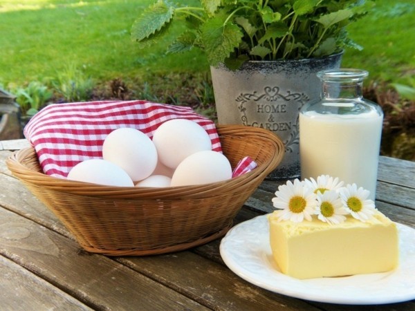 folsäure wirkung eier käse joghurt