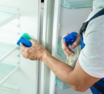 So entfernen Sie erfolgreich den Geruch aus dem Kühlschrank