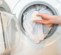 Waschnüsse – eine nachhaltige Alternative zu konventionellen Waschmitteln