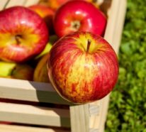 Praktische Tipps, wie Sie Äpfel lagern und auf der besten Art und Weise verwenden