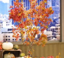 Hinreißende Herbstdeko Ideen mit bunten Blättern, Zweigen und Beeren