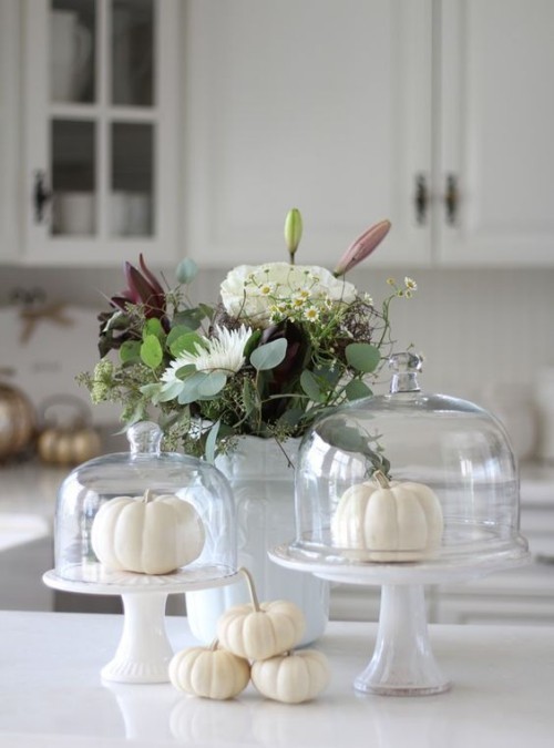 Herbstdeko in der Küche weiße Kürbisse unter Glasdeckel trendy und schön in dekorativer Hinsicht