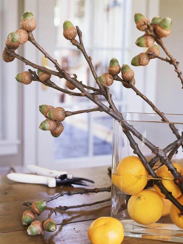 Hinreißende Herbstdeko Ideen Vase aus Glas auf dem Esstisch darin Zitronen Wasser und Eichelzweige arrangiert