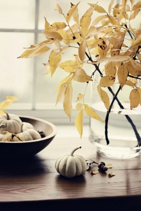 Hinreißende Herbstdeko Ideen mit bunten Blättern
