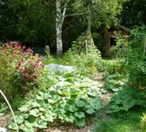 Effektive Gartengestaltung-Ideen gegen den Klimawandel