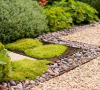 Kiesgarten: So können Sie einen modernen und pflegeleichten Garten anlegen