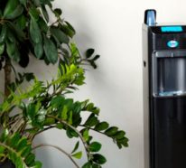Top 5 Vorteile der leitungsgebundenen Wasserspender für Zuhause und Büro