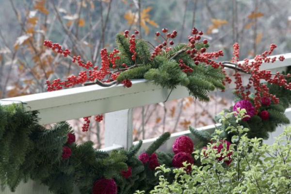 Weihnachtsdeko für Balkon Tannengrün Mistelbeeren am Gelände andere winterharte Pflanzen und Blumen