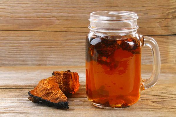 Chaga Tee zwei Stückchen für gesundes Leben