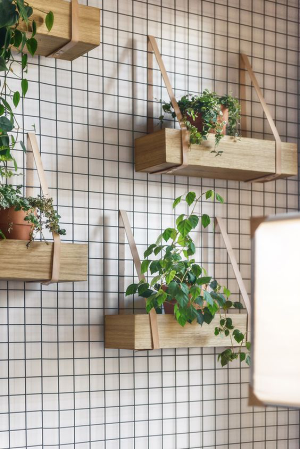 Leere Wand zum Hingucker machen grüne Zimmerpflanzen in hängenden Blumenkästen