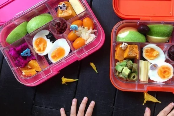 Lunchbox Kinder mit Unterteilung Mittagsbox gekochte Eier