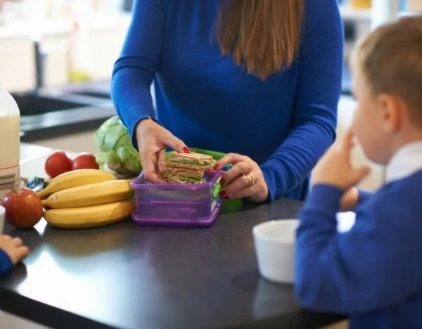 Lunchbox Kinder mit Unterteilung gesunde Mittagsbox vorbereiten