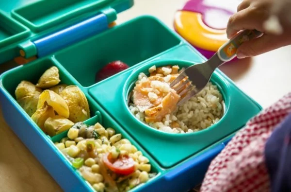Lunchbox mit Fächern Rezepte Kindergarten Mittagsbox Kinder