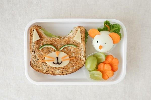 Lunchbox mit Fächern Rezepte Kindergarten Mittagsbox Sandwich Katze und Maus