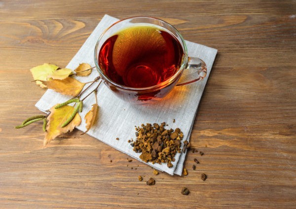 Therapeutic tea with Chaga mushroom.