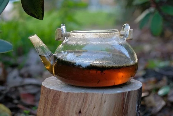 Guayusa Tee zubereiten Tipps Kanne Tee