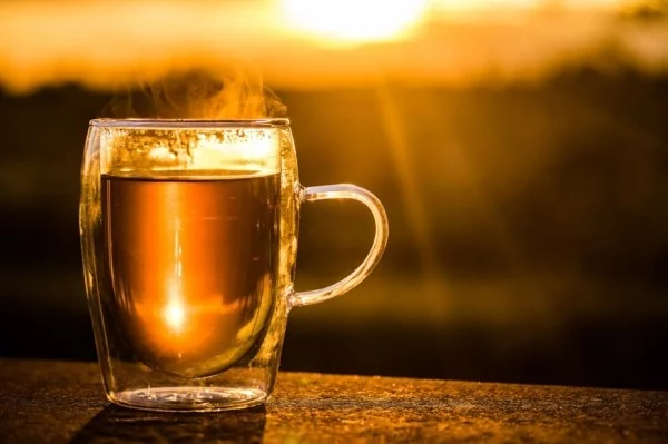 Guayusa Tee zubereiten Tipps Tee Sonnenstrahlen