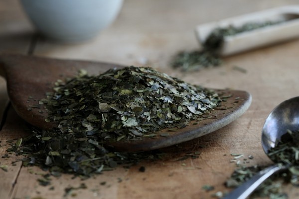 Guayusa Tee zubereiten Tipps getrocknete Blätter