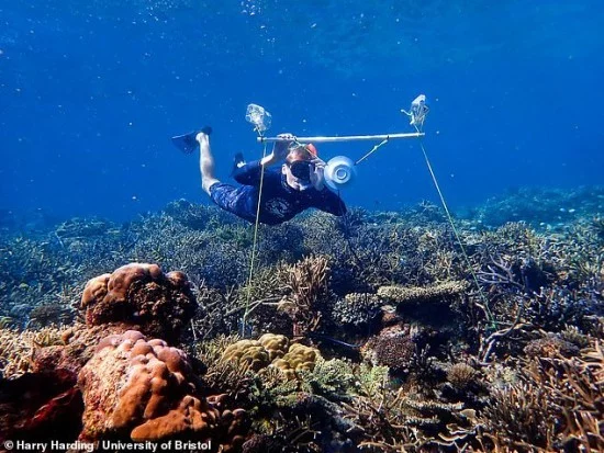 Unterwasserlautsprecher könnten zur Wiederherstellung beschädigter Korallenriffe beitragen doktorant setzt lautsprecher am boden auf