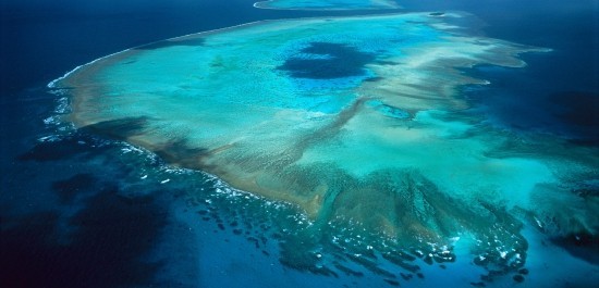 Unterwasserlautsprecher könnten zur Wiederherstellung beschädigter Korallenriffe beitragen great barrier reef wird kleiner