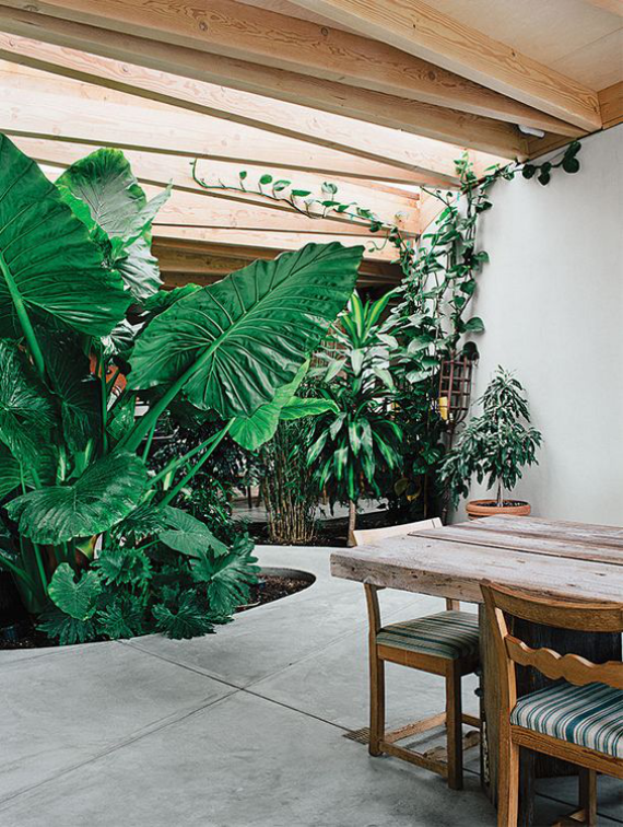 Innenhof stilvoll gestalten Entspannungsoase Ess-und Sitzbereich draußen zu jeder Jahreszeit viel Grün und Natur um sich herum genießen