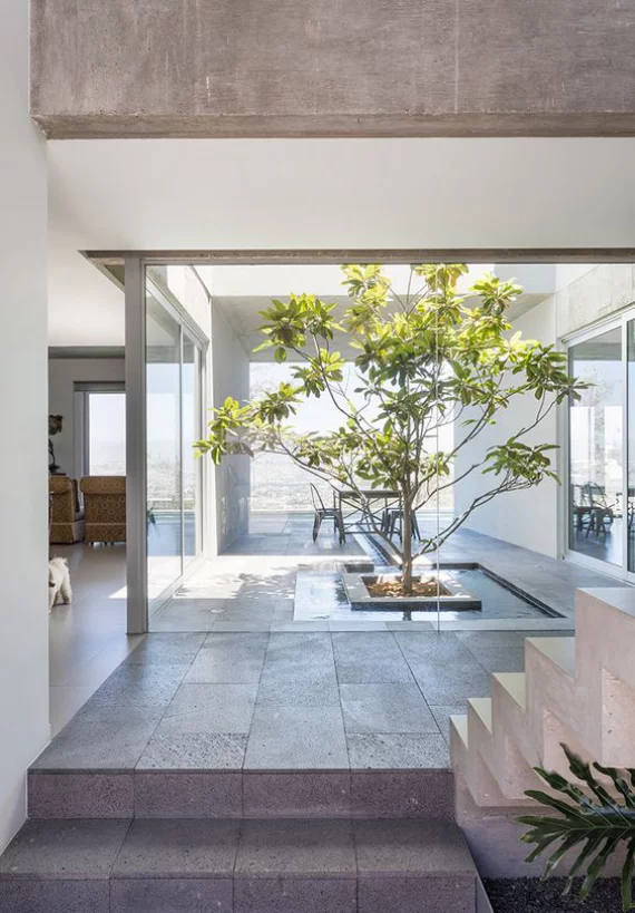Innenhof stilvoll gestalten ein Baum viel Stein Beton Minimalismus nach japanischer Art