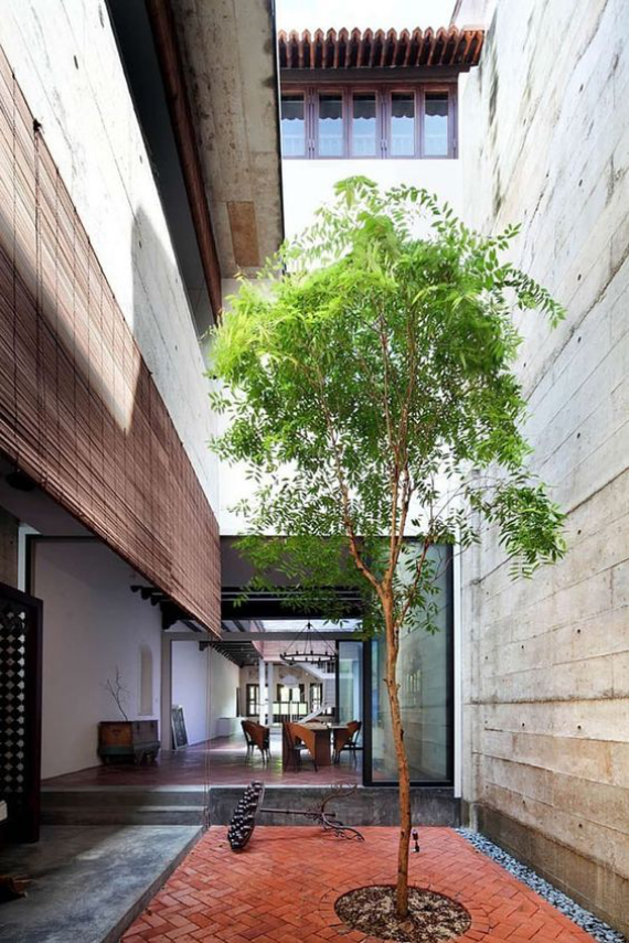 Innenhof stilvoll gestalten ein einziger Baum führt grüne Note ein
