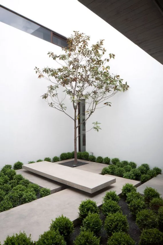 Innenhof stilvoll gestalten skandinavisches Design trifft auf japanische Eleganz Betonplatten ein Baum