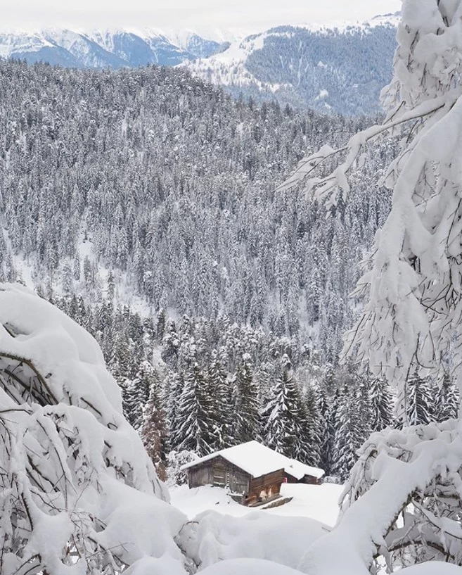 Winterwunderland viel Schnee schweizerisches Skigebiet Laax