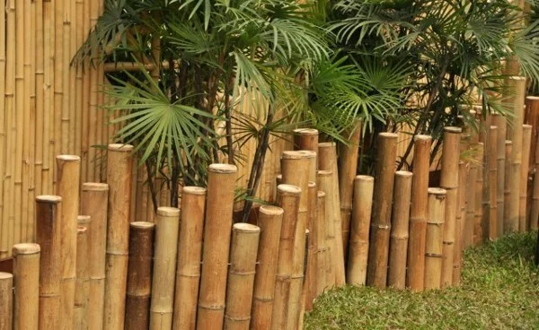 bambuszaun sichtschutz vorteile