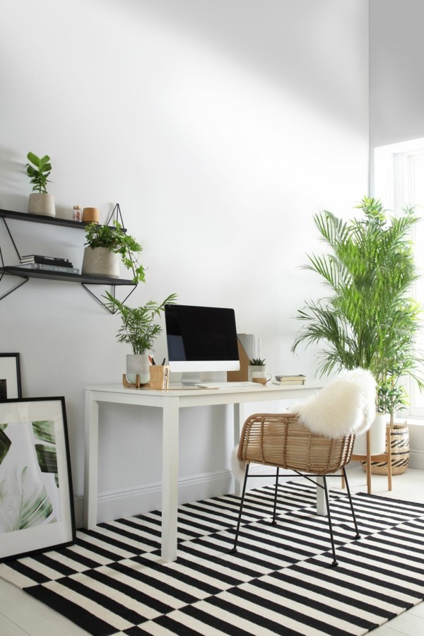 home office einrichten mit büropflanzen