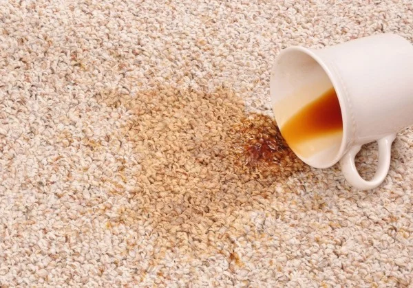 kaffeflecken entfernen teppich saubermachen