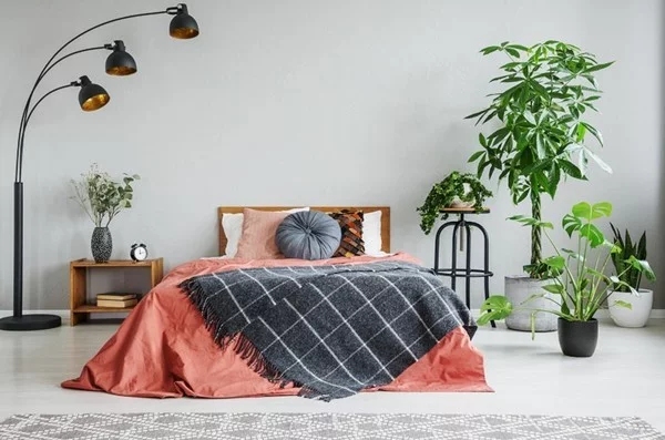gesunde luftreinigende Pflanzen im Schlafzimmer 