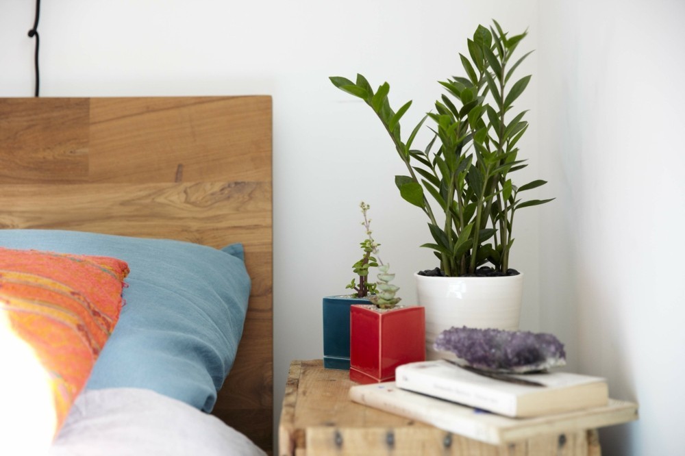 Pflanzen im Schlafzimmer - diese 7 grünen Schönheiten fördern den guten