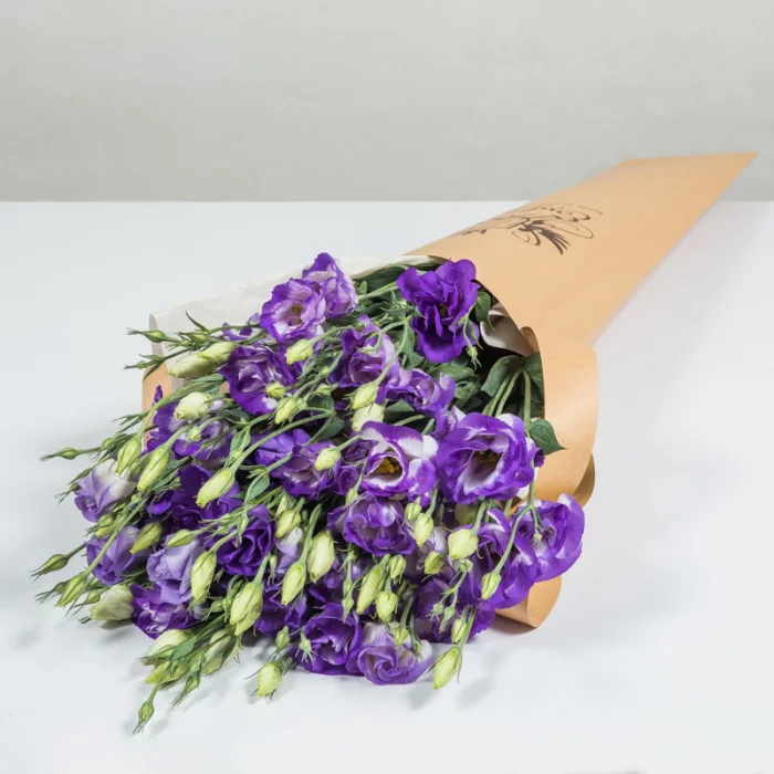 Blumen vermeiden zarte Veilchen nicht passend als Geschenk zum Valentinstag symbolisieren Zurückhaltung