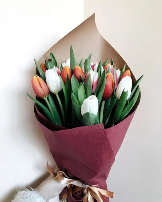 Blumen zum Valentinstag Tulpen in Weiß und Rot schöner Strauß zum Fest der Liebe