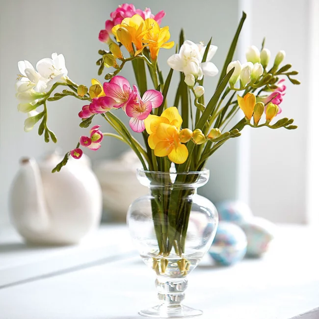 Freesien in Vase sehr elegantes Aussehen verschiedene Farben