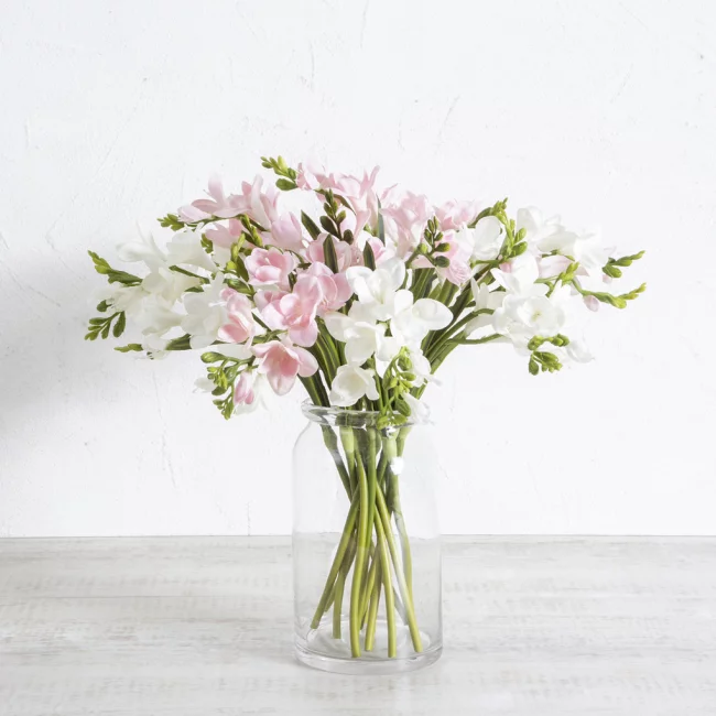 Freesien in Vase zarte Blüten in Weiß und Rosa lange dünne Stiele
