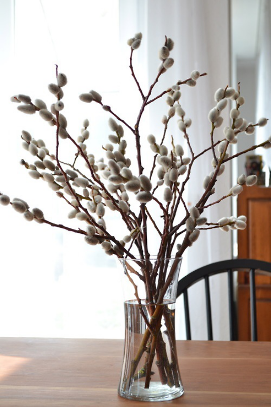 Frühlingsdeko mit Weidenkätzchen in Vase arrangiert noch Palmkätzchen genannt