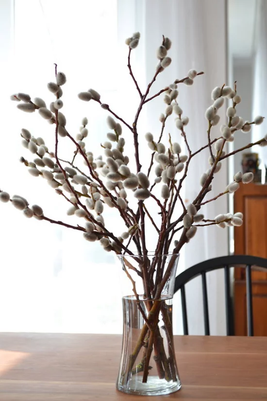 Frühlingsdeko mit Weidenkätzchen in Vase arrangiert noch Palmkätzchen genannt