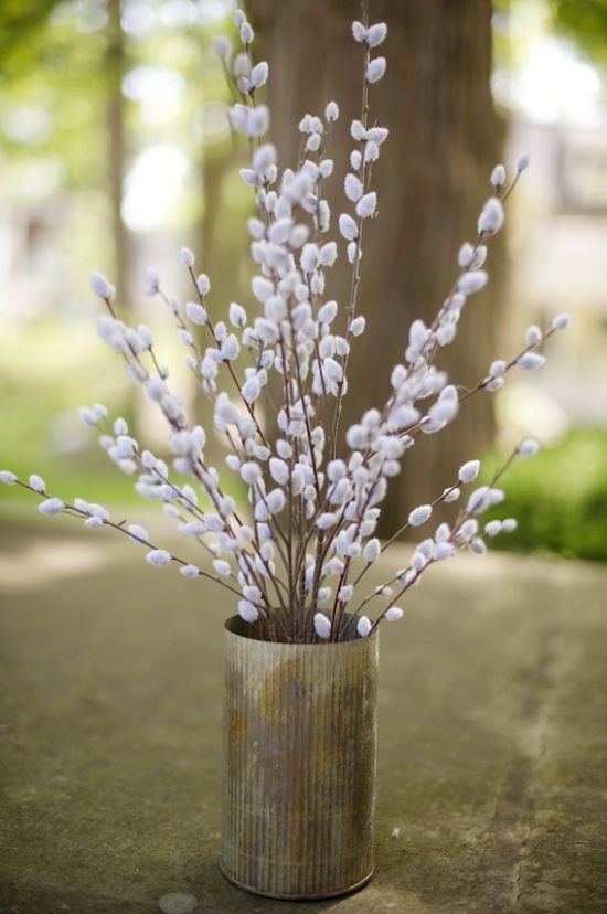 Frühlingsdeko mit Weidenkätzchen in Vase nicht wild pflücken stehen unter Naturschutz