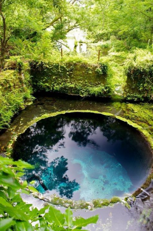 Runde Gartenpools rundes Becken als Gartenteich in Boden eingebaut üppiges Grün rund herum