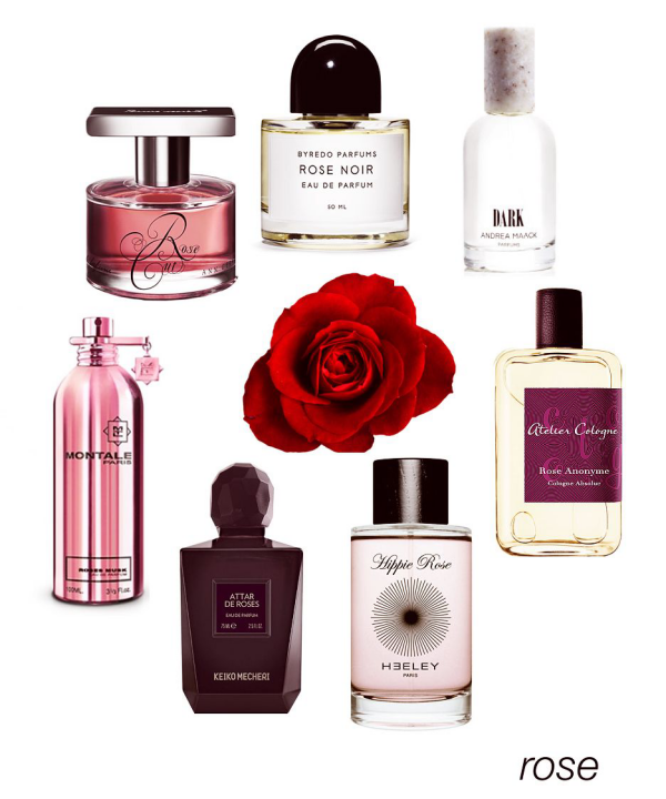Valentinstag - eine Rose und mehrere Flaschen mit Parfüms