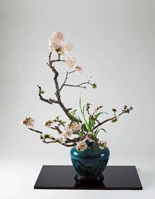kirschblüten ikebana japanische blumensteckkunst