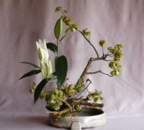 Ikebana – die japanische Blumensteckkunst und ihre Grundprinzipien