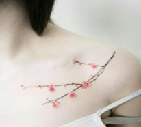 Kirschblüten Tattoo – Bedeutung und mehr als 50 einzigartige Ideen für Sie