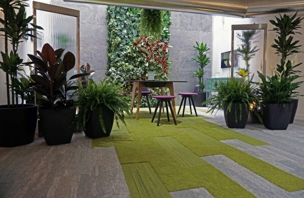 Biophilie Biophiles Design Wohntrends grüne Zimmerpflanzen