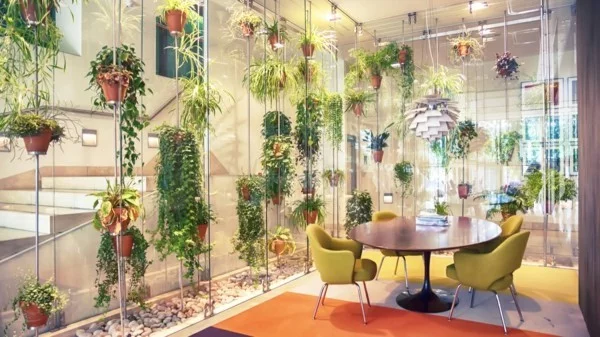 Biophilie Biophiles Design lebendes Innedesign hängende Zimmerpflanzen