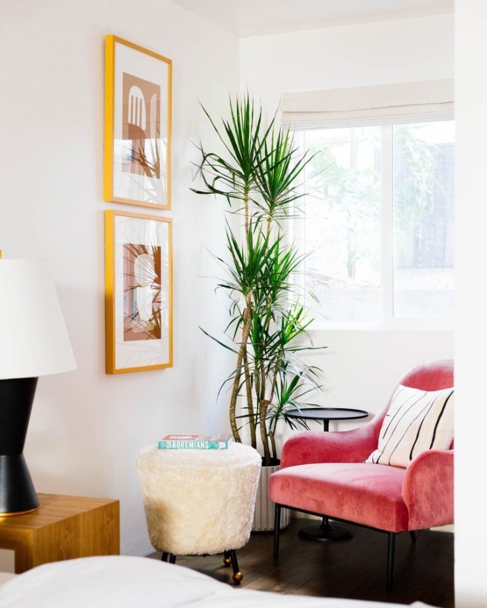 Geheimnisse des Innendesigns enthüllt Samtsessel grüne Zimmerpflanze Ecke zum Relax oder Lesen