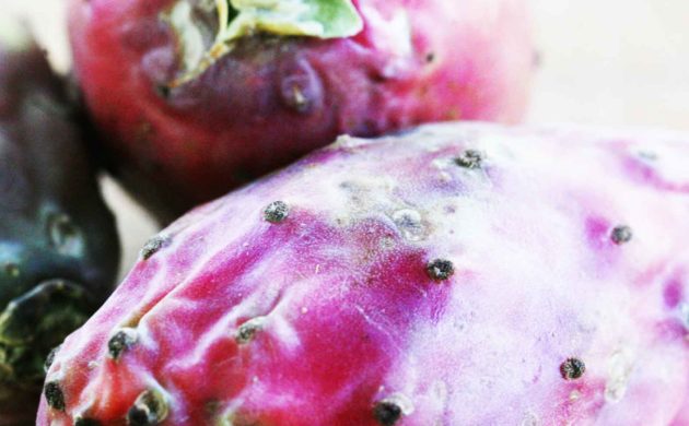 Kaktusfeige essen: geprüfte Tipps und ein Rezept für Syrup aus